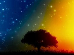 Lonely tree Stock Footage