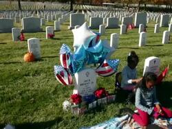 Veteran's Day Observed At Arlington National Cemetery Stock Footage