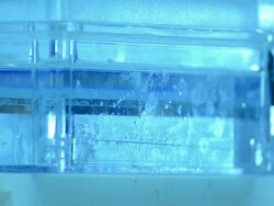 Scientist and bio lab experiment Stock Footage