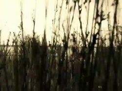 Trudging Stock Footage