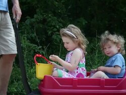 MS  Little girl and boy sitting in wagon eating berries and father pulls them / Toronto, Ontario, Canada Stock Footage
