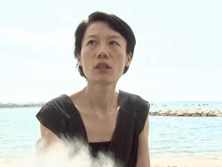 Cannes Film Festival 2009: A Brand New Life Interviews Stock Footage