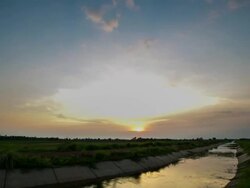 Irrigation System. Stock Footage