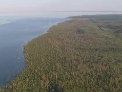 WS AERIAL ZI View of landscape / North Carolina, United States Stock Footage