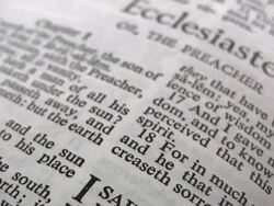 HD 1080i The Book of Ecclesiastes 2 Stock Footage