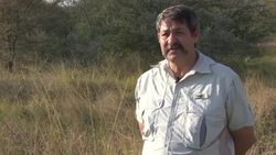 Hottest - and coolest - hotels from 2014 - REPLAY News Clip