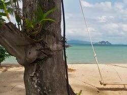 Empty swing swaying at the beach Stock Footage