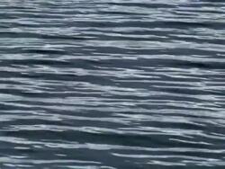 Water surface Stock Footage