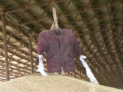 Fighter Stock Footage