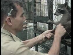 SALVADOR: ANIMAL WELFARE PROTECTION PROGRAMME PROVES A SUCCESS News Clip