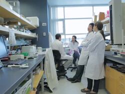 MS POV Lab technicians conversation discussion in research center / Vancouver, BC, Canada Stock Footage