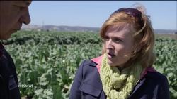 Why does almost half of America's food go to waste?  News Clip