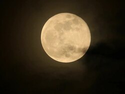 Full Moon Rising Stock Footage