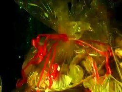 Sweet Present Stock Footage