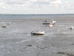 MS Port of Cancale / Cancale, Brittany, France Stock Footage