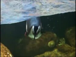 A museum dedicated to green themes News Clip