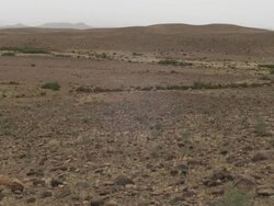 In the distance, animals run amongst the open landscape of the Moroccan hills. Stock Footage