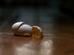MS CU SLO MO Raw egg falls on floor and cracks Stock Footage