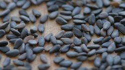heap of black sesame seeds, close-up Stock Footage