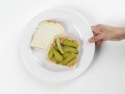 CU Woman hand entering setting down round white plate with peanut butter and pickles bread sandwich / Omaha, Nebraska, United States Stock Footage