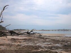Little Talbot Island at Nassau Sound Stock Footage