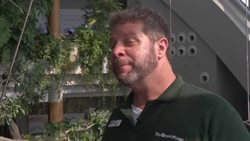 Bio dome brings tropical rainforest climate to the desert News Clip