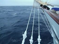 MS POV Clipper ship moving in Tyrrhenian sea / Italy Stock Footage