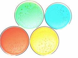 Cultures in lab Stock Footage