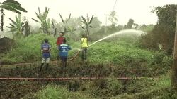 CLEAN : Volunteers scramble to douse Indonesian fires News Clip