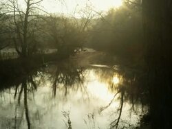 Morning fog over a stream Stock Footage