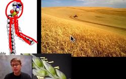 Cellular Variation Instructional Video