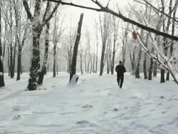 Man exercise jogging outdoor Stock Footage