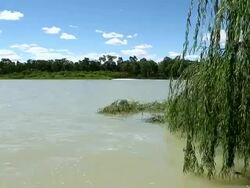 The River Murray In South Australia Stock Footage