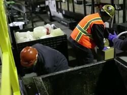 Biofuel Recovered For Recycling At Restaurants Stock Footage