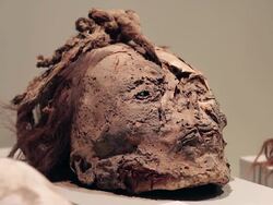 CU Shot of mummy in Antonini museum / South Of Peru, Nazca, Peru Stock Footage