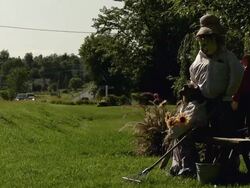 Scarecrow in a yard Stock Footage