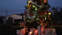 Christmas light in the night outdoor Stock Footage