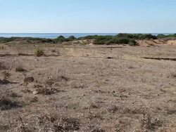 Selinunte, view of the agora and the residental city on the Manuzza hill Stock Footage