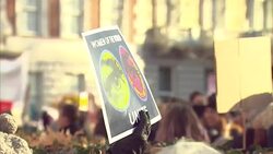 Crowds of People at Women's March on London News Clip