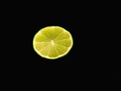 CU SLO MO Shot of Green Lemon, citrus aurantifolia, Slice falling on Water and splashing against black Background / Calvados, Normandy, France Stock Footage