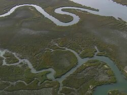 MS AERIAL TD Shot of Estuary and Coastal Barrier Salt Marshes / South Carolina, United States Stock Footage