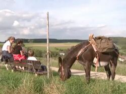 WS Family with donkey sitting at bench and drinking water / Mannebach, Rhineland-Palatinate, Germany                             Stock Footage