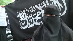 VOICED : Protest at France's News Clip