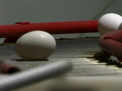 Close up of eggs on conveyor belt. Stock Footage