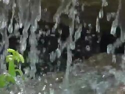 MS SLO MO Shot of Waterfall with plant / Ribeauville, Alsace, France Stock Footage