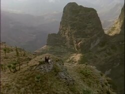 WA Group of people trekking in Simian mountains, zoom out and pan right to vast landscape, Ethiopia, Africa Stock Footage