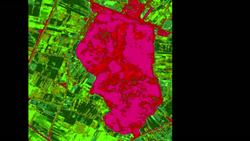 Sarah Parcak: Archaeology from space Instructional Video