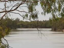 Murray River, Australia Stock Footage