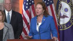 House Dems, GOP Continue Battle Over Gun Control News Clip