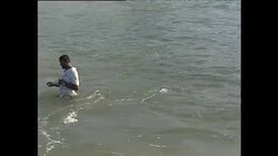 Sardine Fishermen on Beach in South Africa News Clip